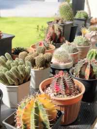 สวนรักษ์คุณ คาเฟ่+ร้านอาหาร ที่เทพสถิต