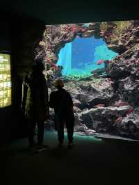 大分　🩵水族館🦭🐬