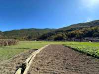 Tacheng Village: A Hidden Paradise in Yunnan’s Shangri-La