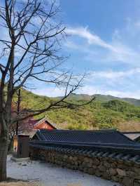 고즈넉한 산사, 구례 천은사 🏯🌿