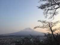 Chureito Pagoda จุดชมซากุระสุดปัง พร้อมวิวฟูจิ