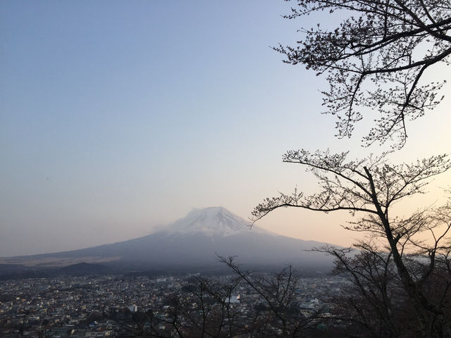 Chureito Pagoda จุดชมซากุระสุดปัง พร้อมวิวฟูจิ