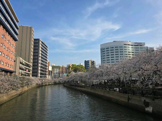 Tenjin Central Park (天神中央公園)