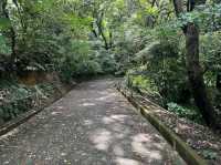 Minami Park (南公園)