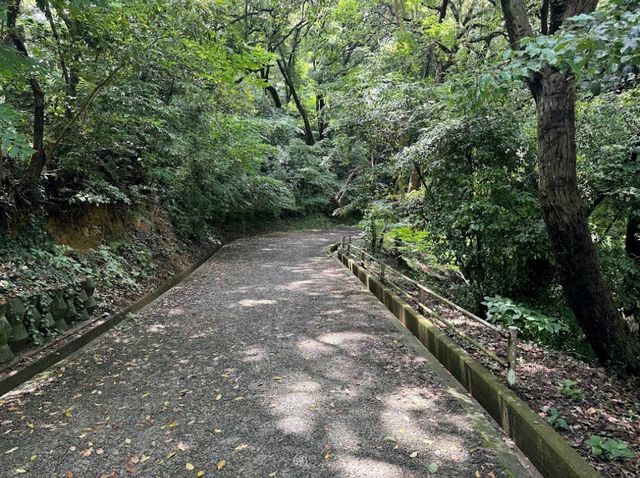 Minami Park (南公園)