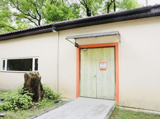  桃園八德｜兒童玩具圖書館 🎠 親子互動超開心！