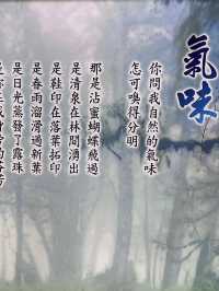 鎏金般耀眼的太平山山毛櫸步道