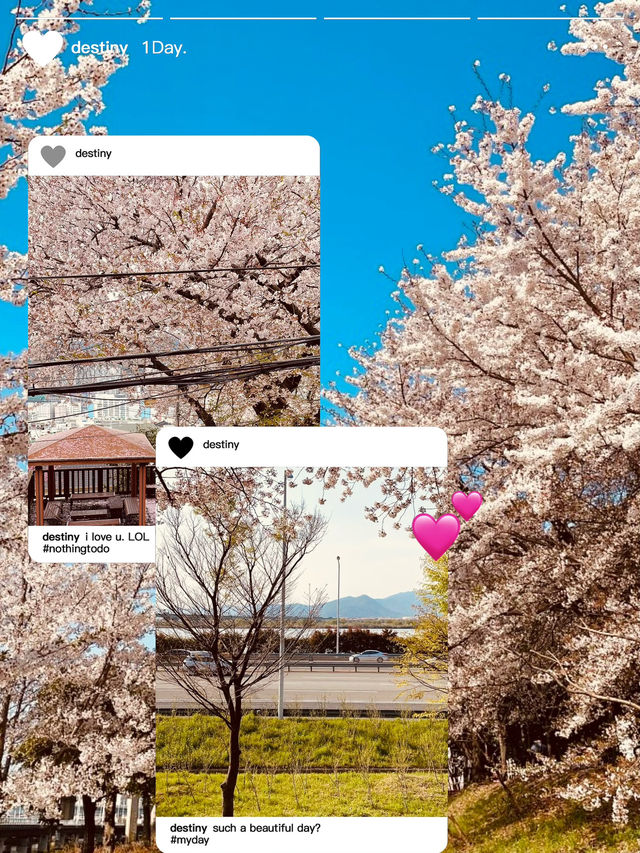 The Best Cycling Spot in Busan!