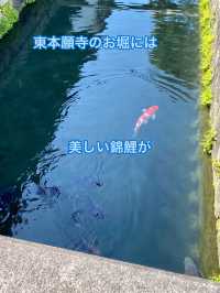 絶対に行って欲しい京都2日感の旅行体験！