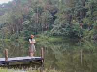 Pang Ung Camp Site - ลานกางเต็นท์ปางอุ๋ง