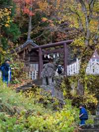 戸隠神社⛩️ 神秘的な杉並木が続くパワースポット