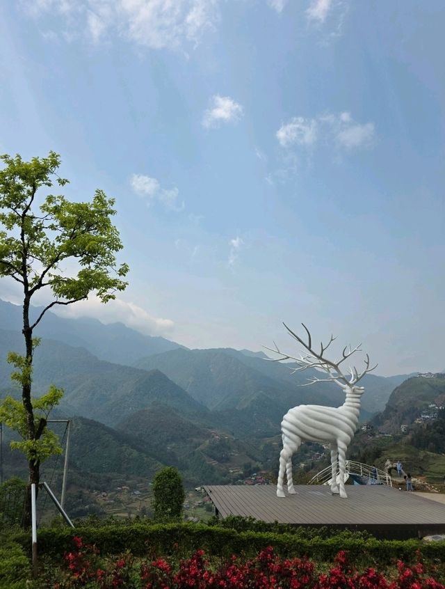 Moana Cafe Sapa