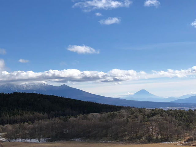 爽快ドライブで絶景体験！霧ヶ峰高原の大自然を満喫しよう🚖