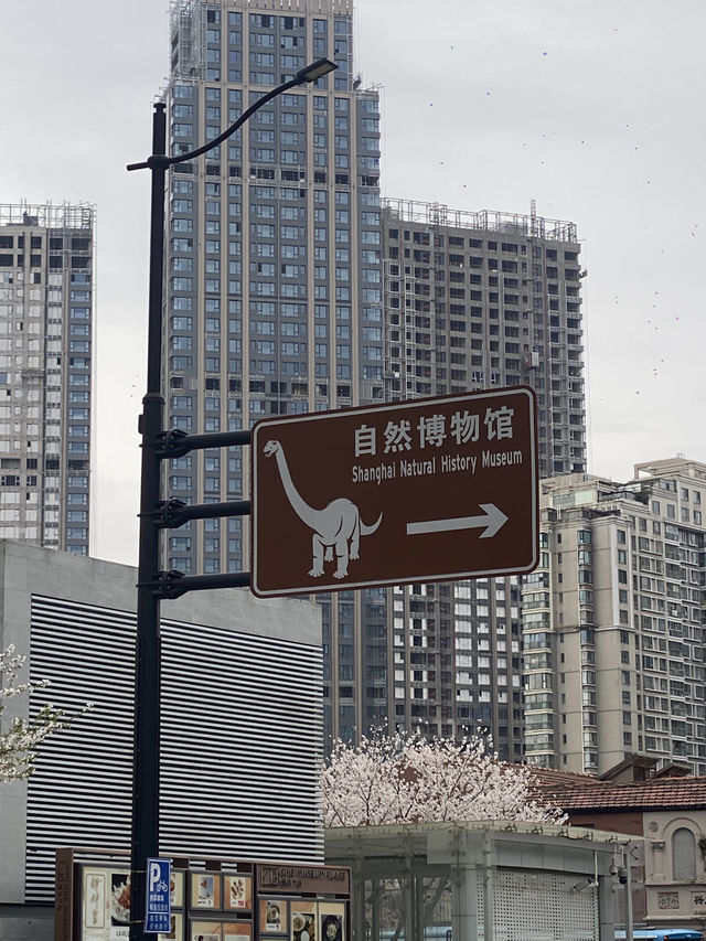 พาทัวร์ 📍Shanghai Natural History Museum