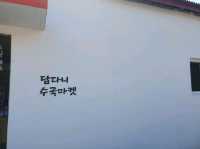 답다니수국밭