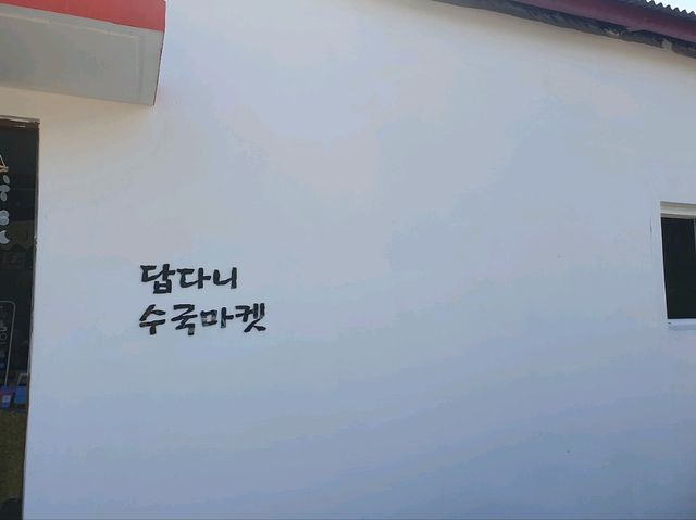 답다니수국밭
