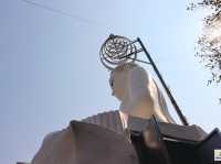 วัดป่าภัทรปิยาราม 