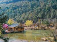เที่ยวภูเขามังกรหยก แบบ One Day Trip ชิวๆ