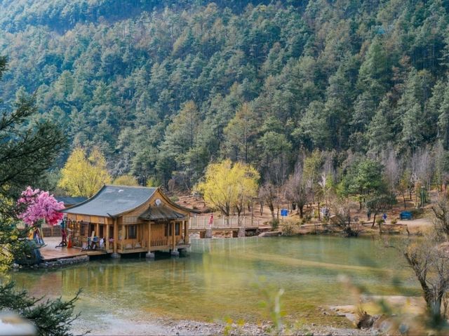 เที่ยวภูเขามังกรหยก แบบ One Day Trip ชิวๆ