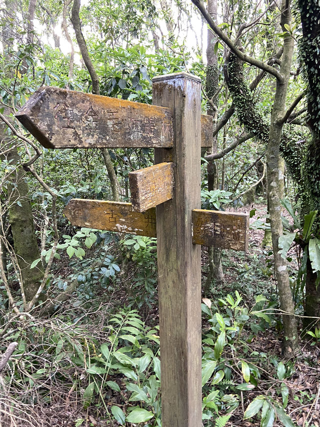 新店第一高峰-獅仔頭山｜古道遺跡探險路線推薦！