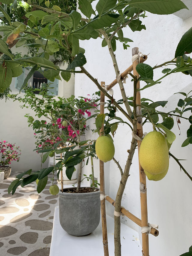 Tropical Minimalism at Its Finest – Hua Hin’s Hidden Gem