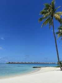 Elevated Opulence and Dreamlike Seclusion at Waldorf Astoria Maldives Ithaafushi