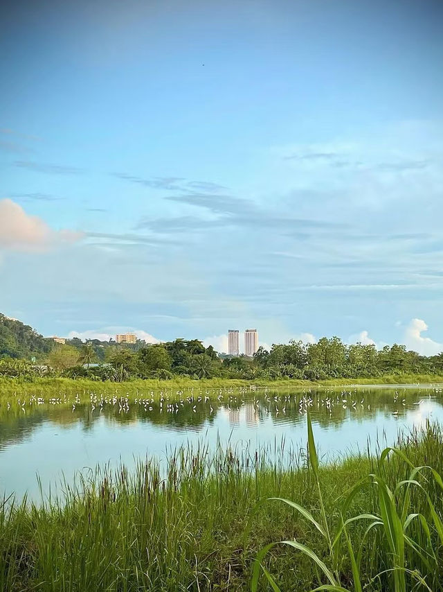 Kota Kinabalu Travel Guide — Where Nature Meets Culture