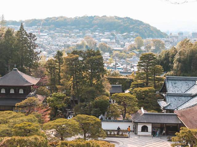 은각사 조경이 예쁜 곳