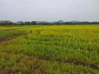 The 5,300 year-old city in China - Liangzhu
