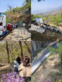 ตะลุยกำแพงเมืองจีนด่าน Mutianyu 