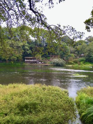 Spring Walk at Kakita River Park