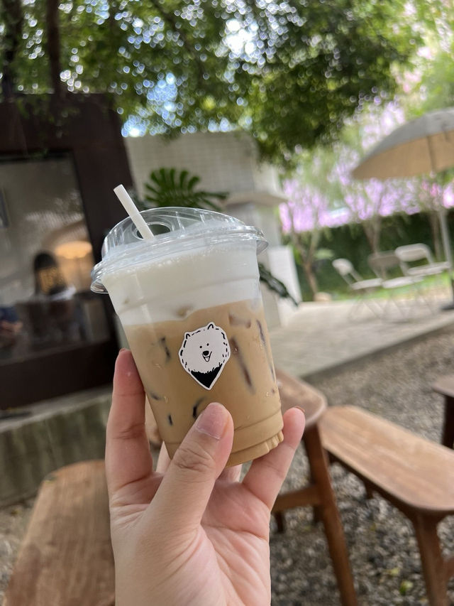 มัดรวมคาเฟ่เชียงใหม่ 
