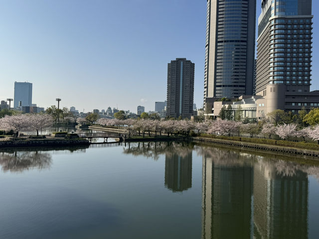 2025大阪毛馬櫻之宮公園沿河浪漫櫻花步道