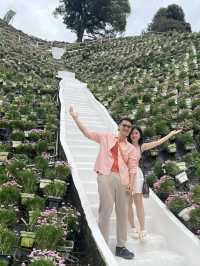 Penang 8 Days Itinerary