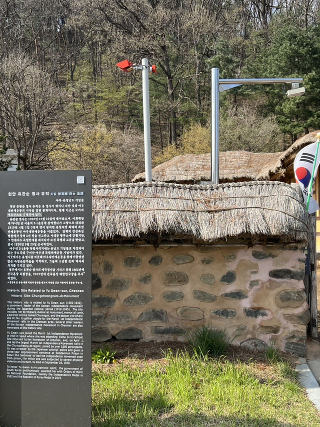 튤립축제와 천안 아산 여행