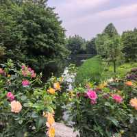 ～列聖生態休閒公園～游走於繁花之間～