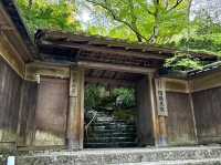 🇯🇵【京都】特別拝観期間だけ拝観できる！瑠璃光院！