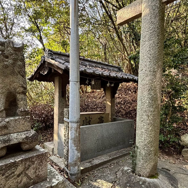 🇯🇵【愛媛県】松山市にある高家八幡神社⛩️！