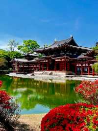 🌿✨ A Thousand Years of Serenity Between Fresh Green and Wisteria: Byodo-in Phoenix Hall, Uji 🌸🏛️