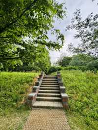 Where Nature Nurtures