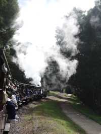 🚂✨ 乘坐墨爾本的Puffing Billy小火車