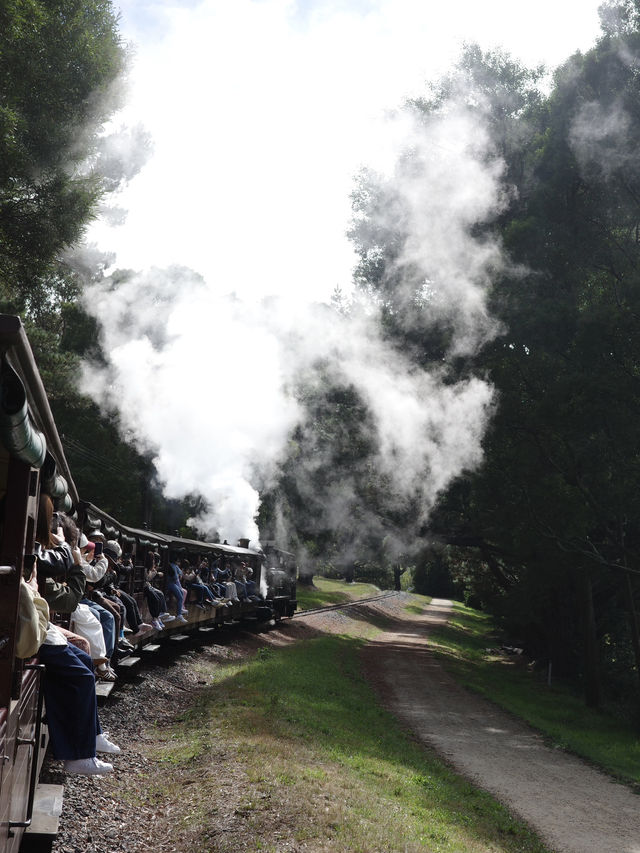 🚂✨ 乘坐墨爾本的Puffing Billy小火車