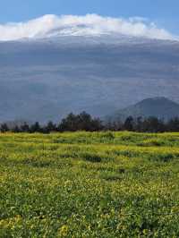Golden Fields & Mountain Views: Spring at Hueree Natural Park