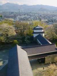 Tsuruga Castle – A Spring Icon of Aizuwakamatsu