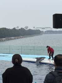 🐬✨【四國水族館——夢幻海底之旅】✨🐋