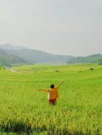 Pù luông