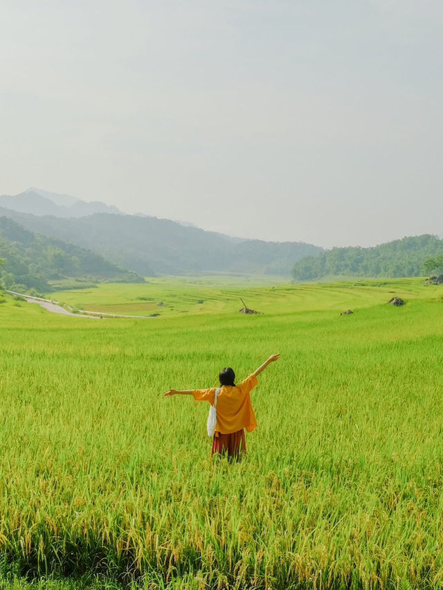 Pù luông