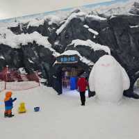 唔使100元可以全日任玩娛雪項目