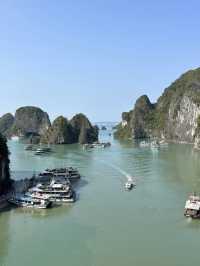 🌟 Halong Bay One-Day Tour 🇻🇳