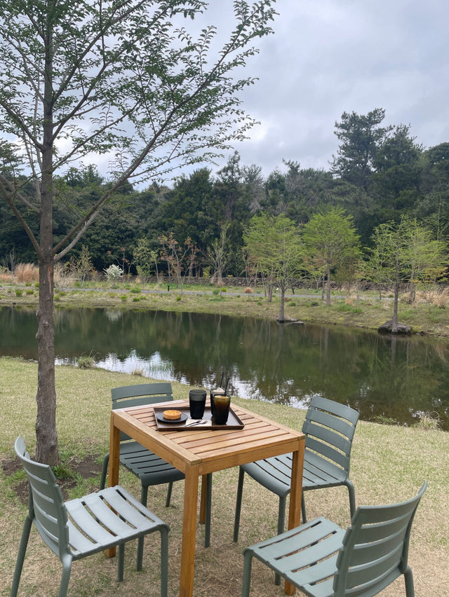 ❣️제주도 서귀포 카페 핫플 담소요😍